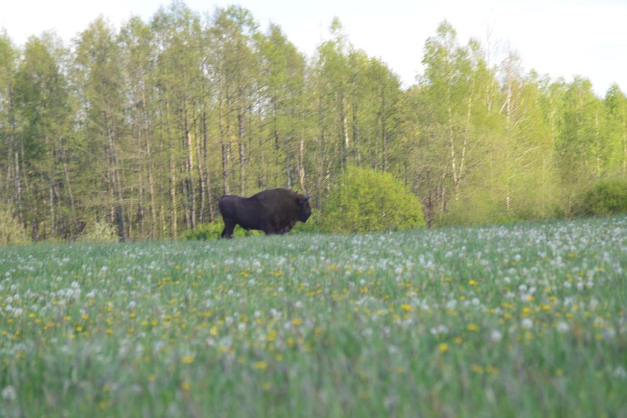 Ciche Podlasie Siemianowka Exterior foto